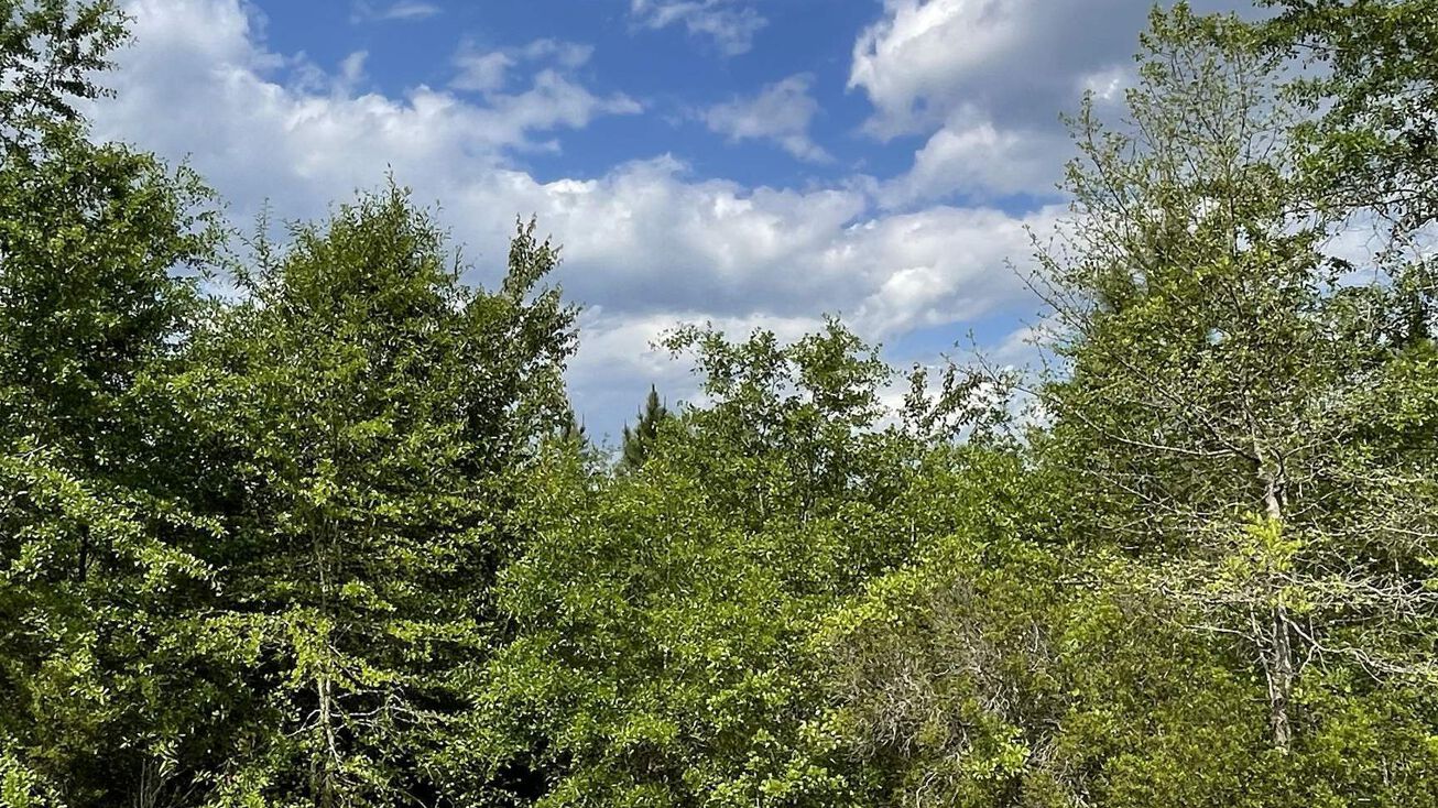 Scotland Towns Rd, McRaeHelena, GA 31055 Land for Sale 0 Old
