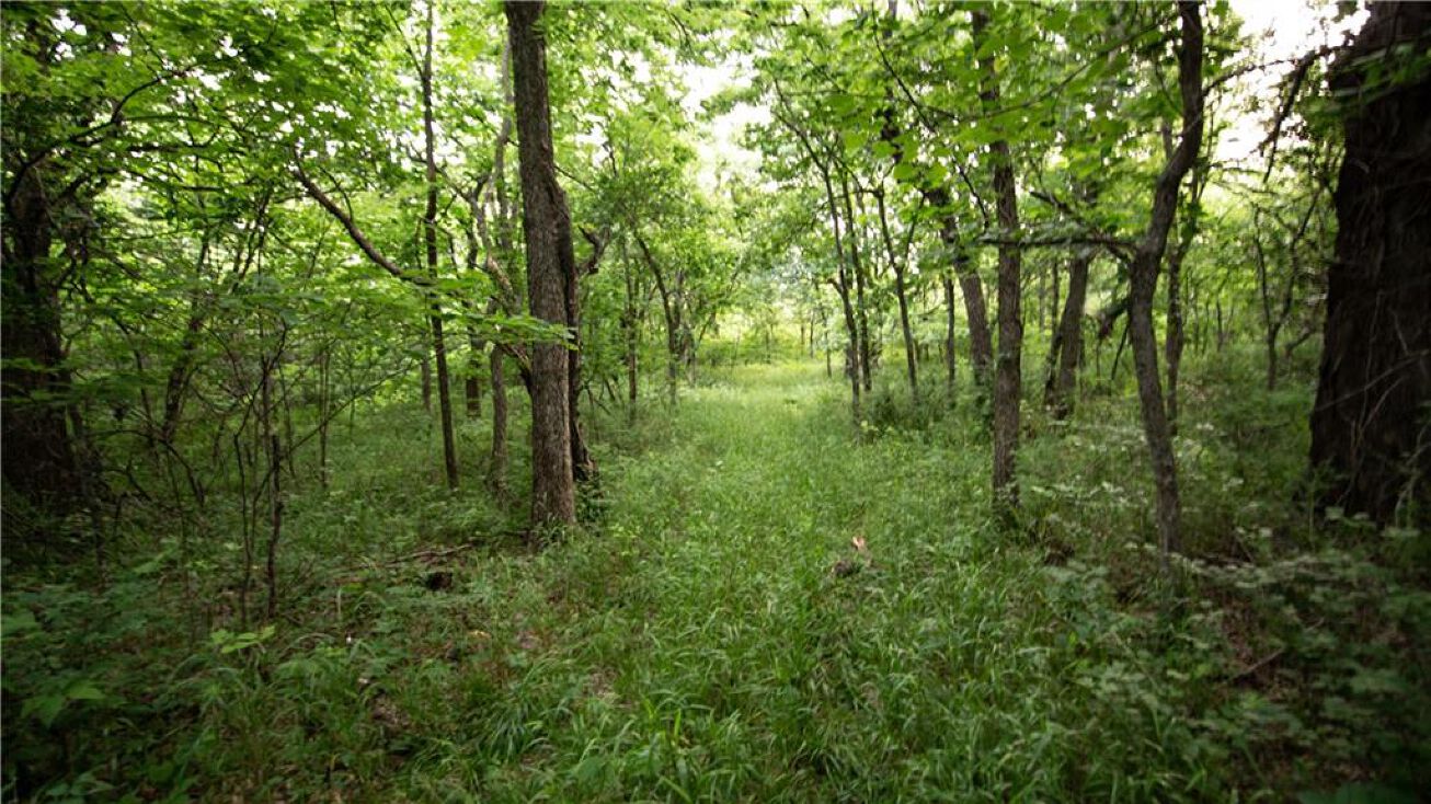 Ransom Road, Lacygne, KS 66040 Land for Sale Ransom Road