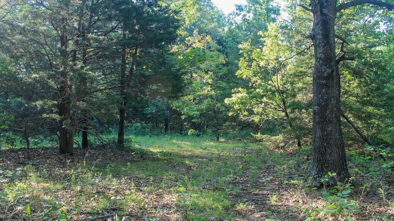 000 SE 150 PVT Road, Osceola, MO 64776