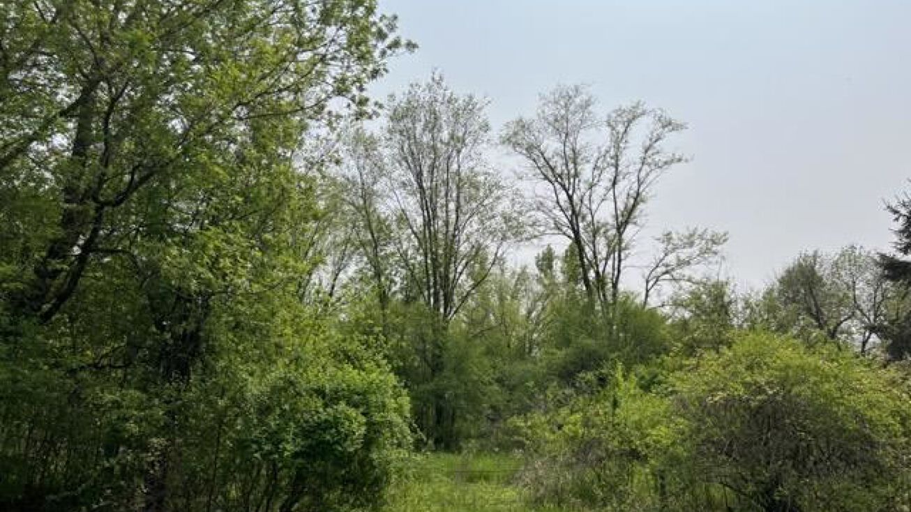 Rivermoor Road 4, Omro, WI 54963