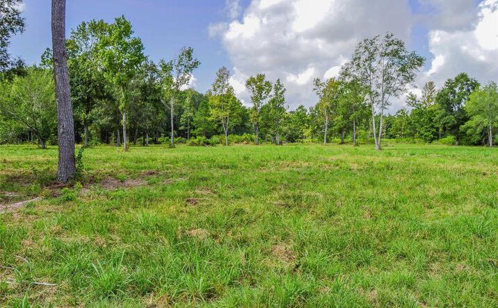 Pictures of Land property located at Hwy 321, Cleveland, TX 77327 for sales - image #1