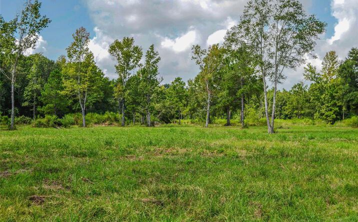 Pictures of Land property located at TX-321, Cleveland, TX 77327 for sales - image #1