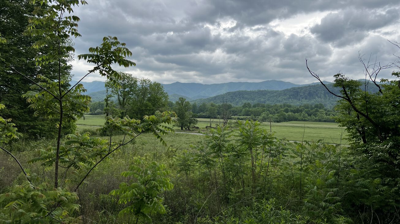 6387 Airport Rd, Andrews, NC 28901