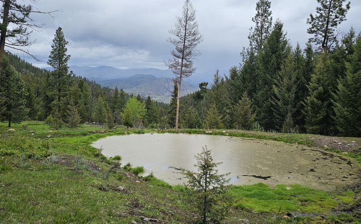 Pictures of Land property located at 4 Bull Elk, Drummond, MT 59832 for sales - image #1