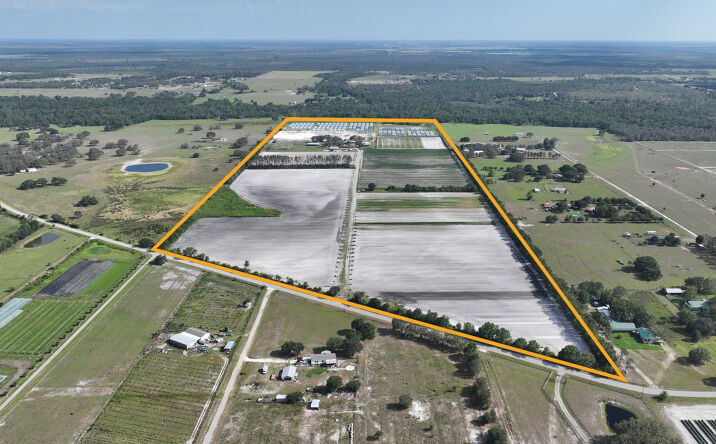 Pictures of Land property located at 30815 Taylor Grde, Parrish, FL 34219 for sales - image #1