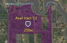 11455729