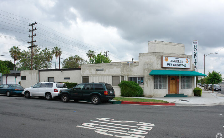 Angelus sales pet hospital