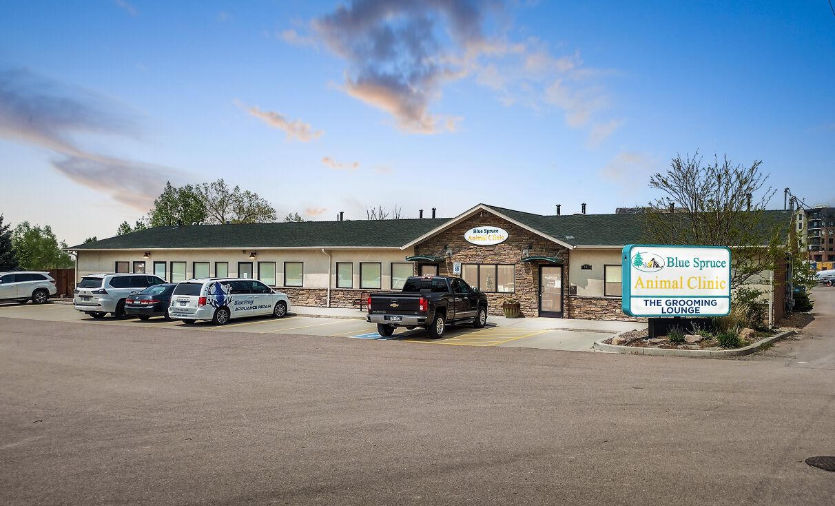 101 Briscoe St, Castle Rock, CO 80104