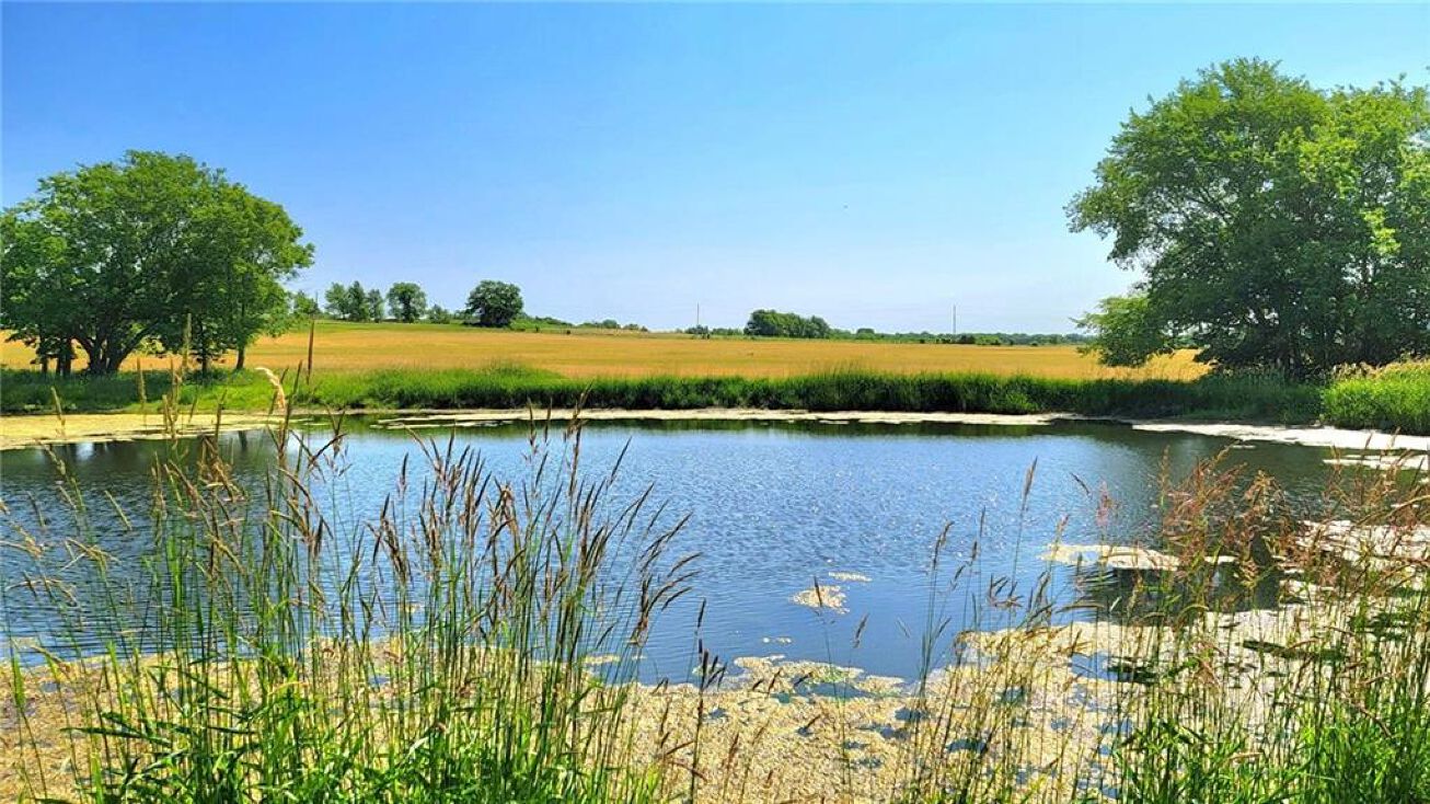 0000D S State Route D Highway, Drexel, MO 64742