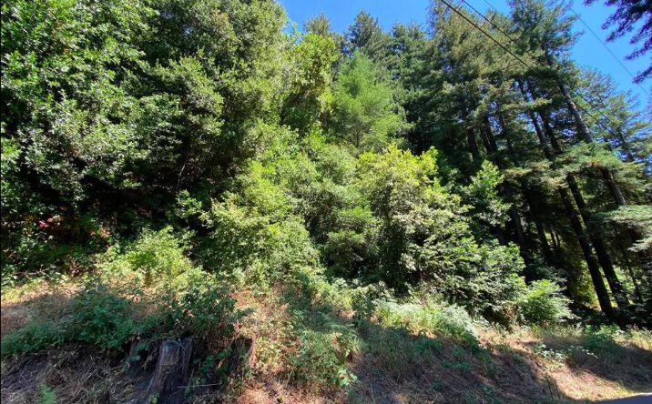 Pictures of Land property located at Tipping Way, Ben Lomond, CA 95005 for comps - image #1