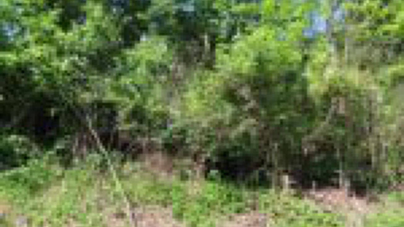 0 Licking Valley Rd, Frazeysburg, OH 43822