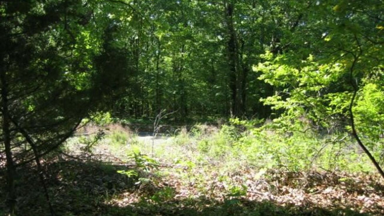 19 W Arrowood Rd, Cookson, OK 74427 Land for Sale 19 W Arrowood Rd