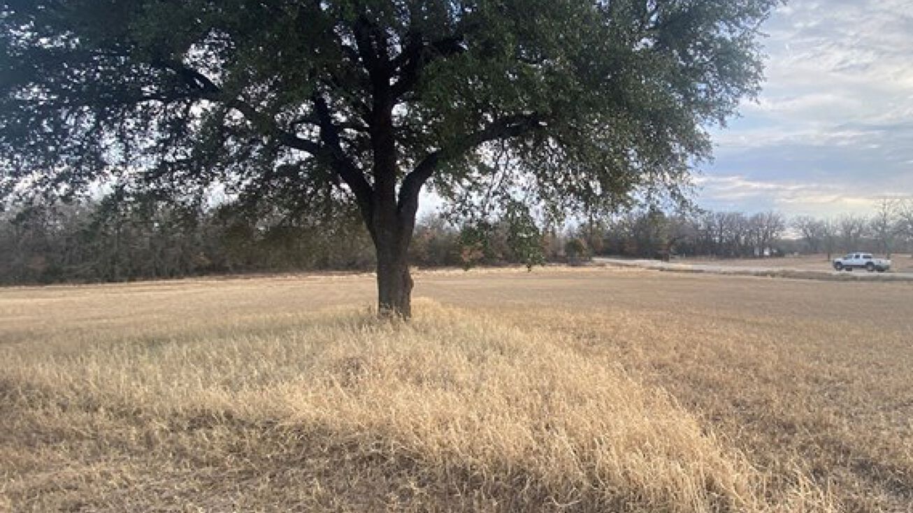 162 PR 2162, Iredell, TX 76649