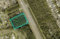 33558286