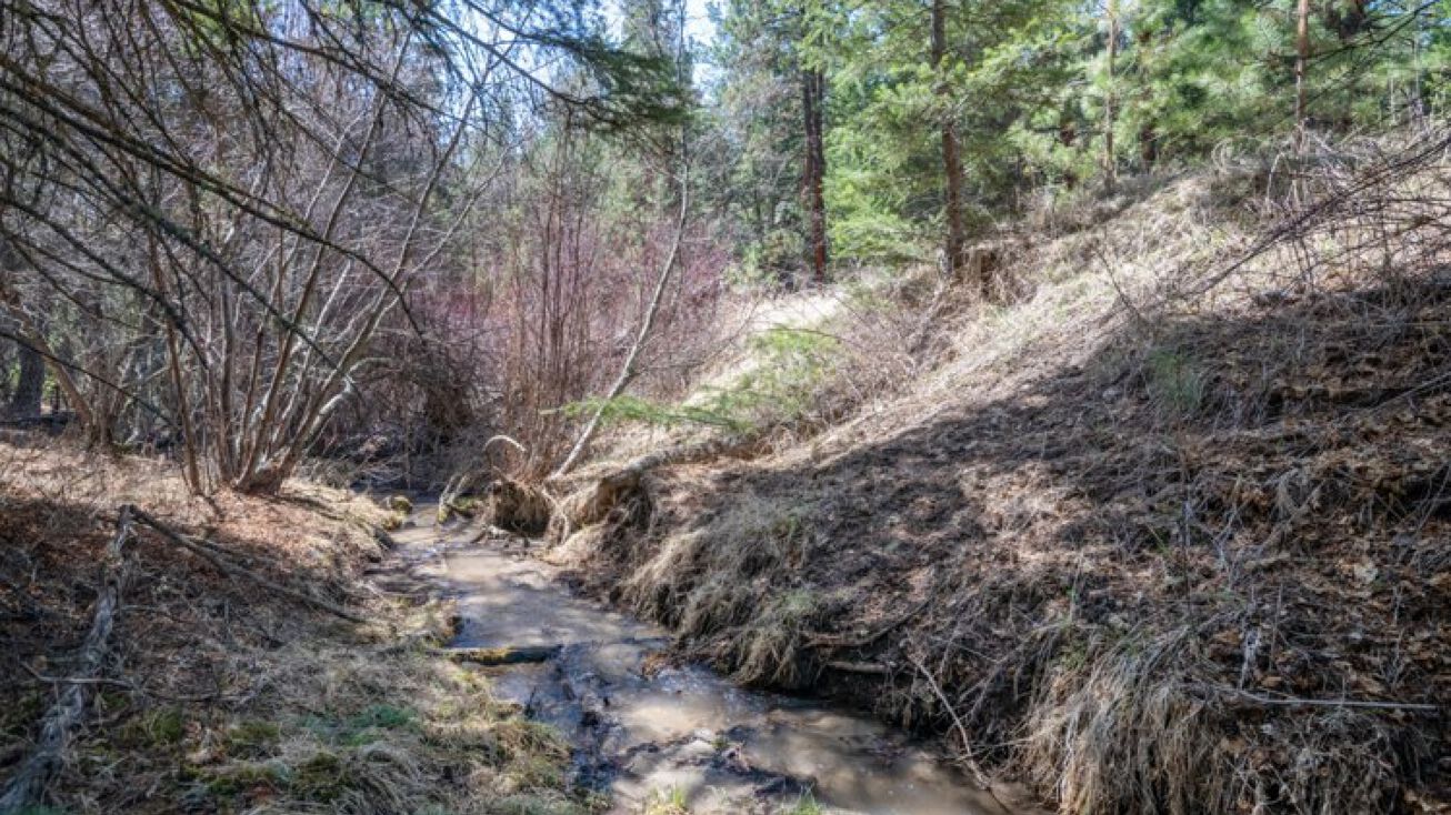 Sapphire Ranch Trail, Corvallis, MT 59828