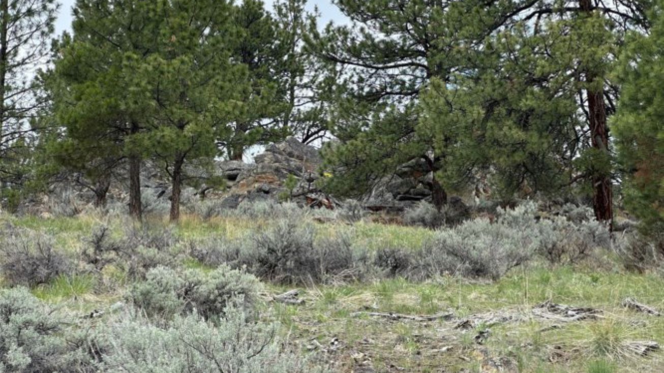 299 Flying Lead Rdg, Corvallis, MT 59828