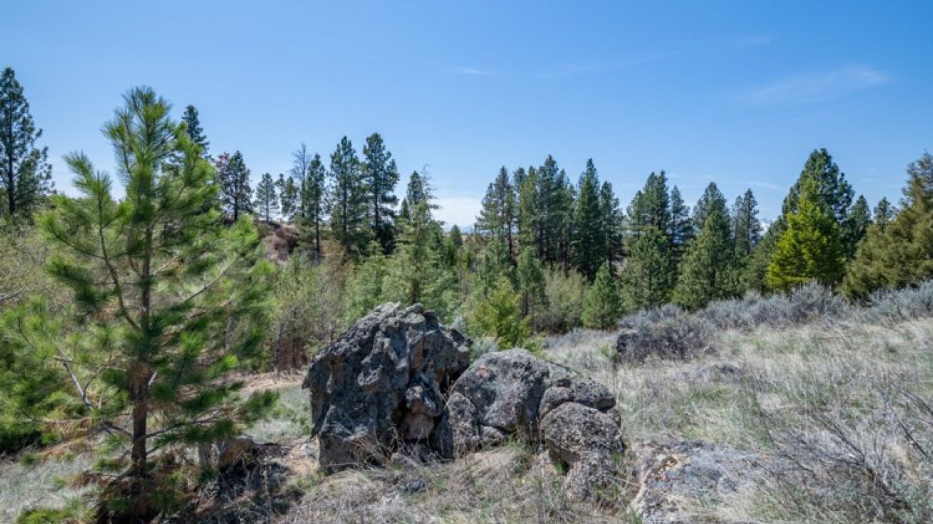 Sapphire Ranch Trail, Corvallis, MT 59828 Land for Sale Tract 265