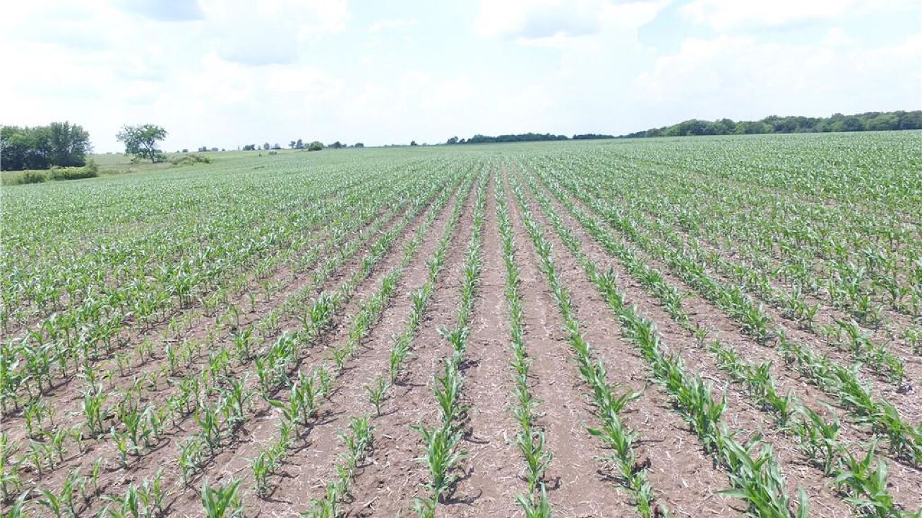 337th Street, Jamesport, MO 64648 Special Purpose Property for Sale