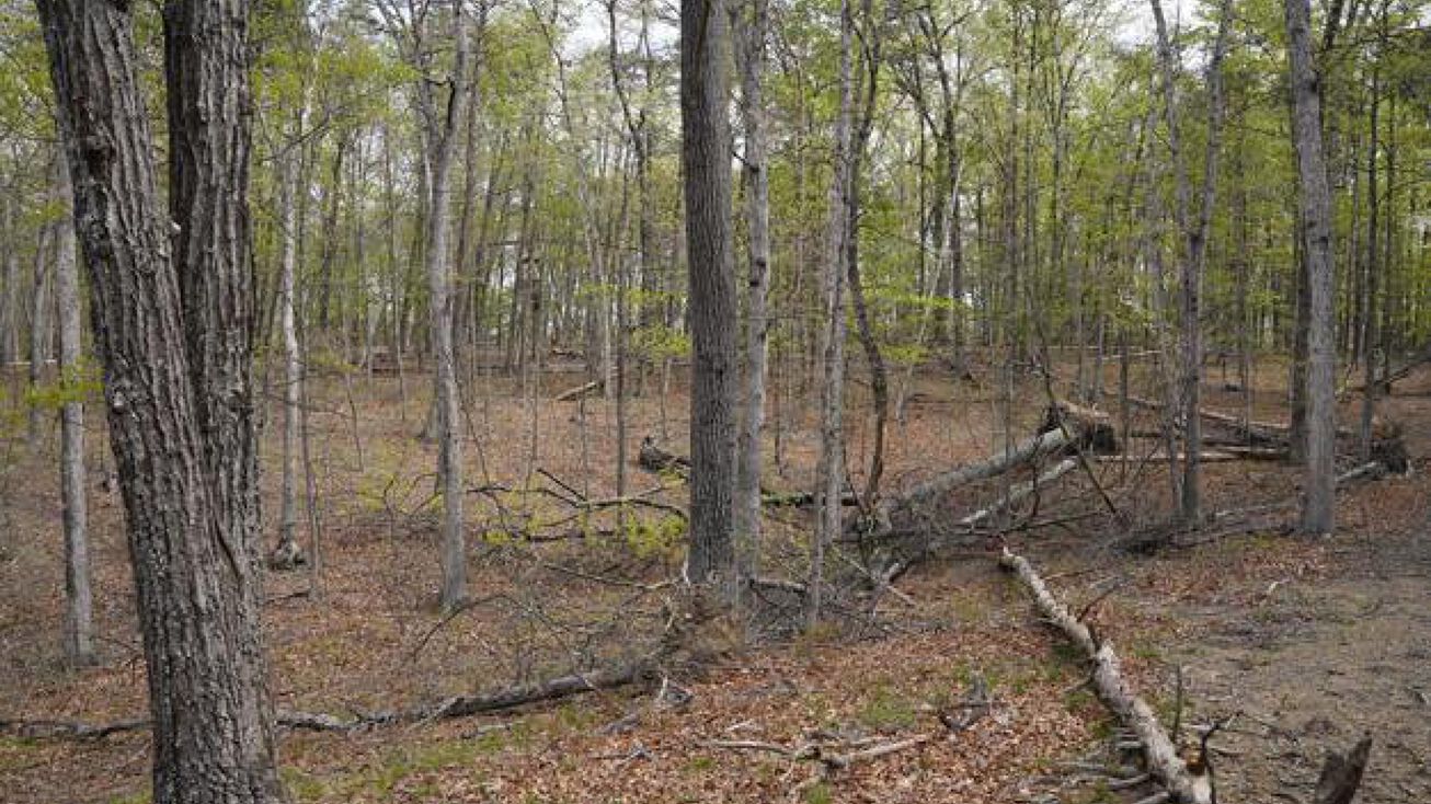 6203 Cherry Run Rd, Hedgesville, WV 25427 Land for Sale 6203 Cherry Run Rd