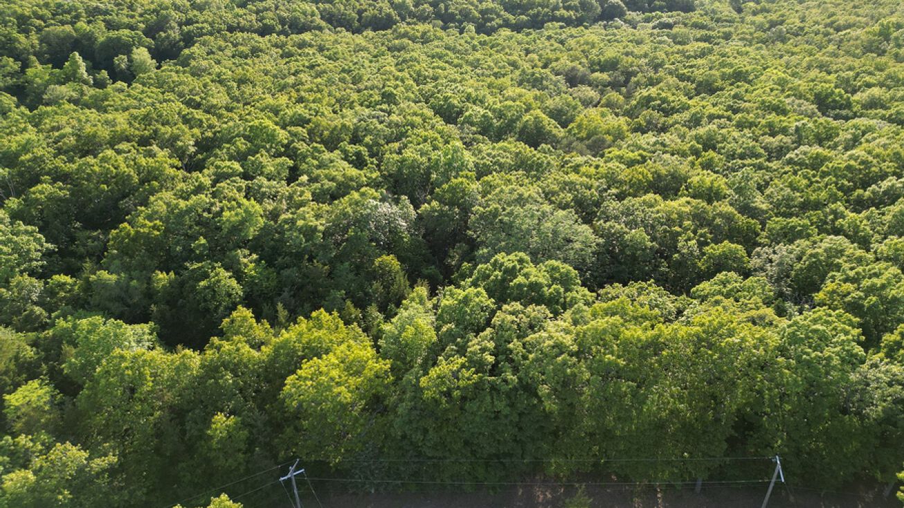 000 Water Tank Rd, Irondale, MO 63648 Land for Sale 000 Water Tank Rd