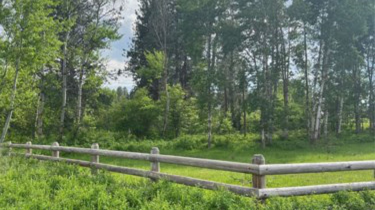 33740 Finley Point Rd, Polson, MT 59860 Land for Sale 33740 Finley