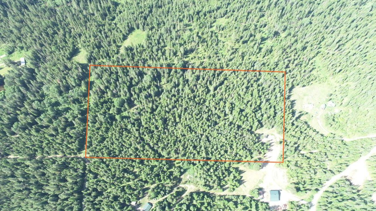 148 Rice Draw Rd, Heron, MT 59844 Land for Sale Level, tree covered