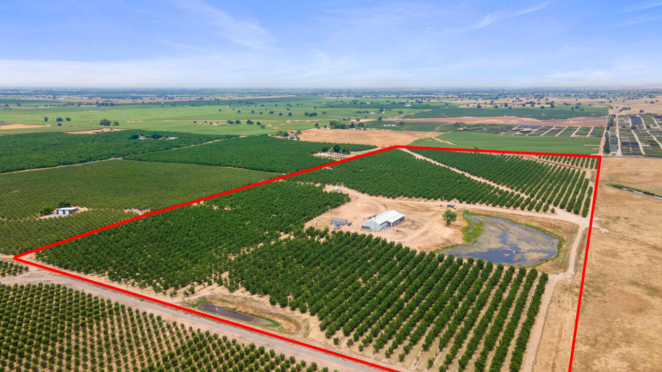 20080 E Kettleman Ln, Lodi, CA 95240