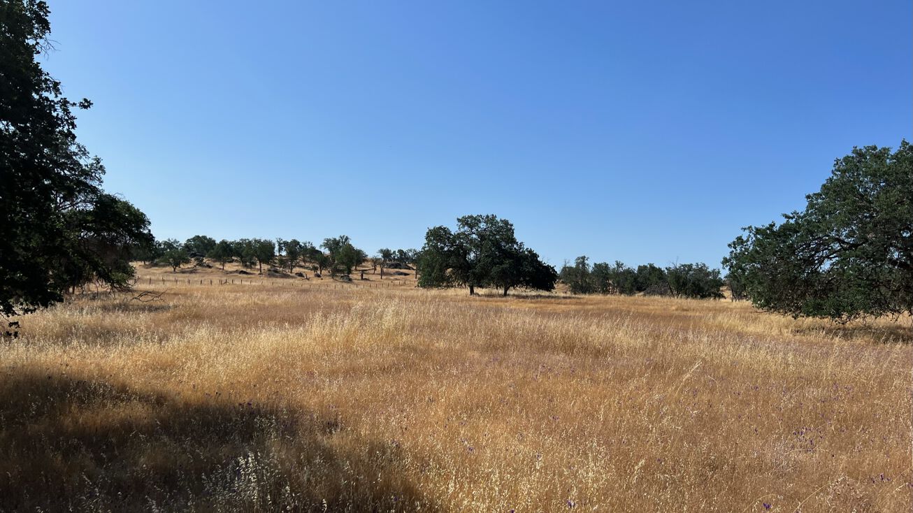 E. of Sample Rd. & Hwy 168 Intersection, Clovis, CA 93619 Land for