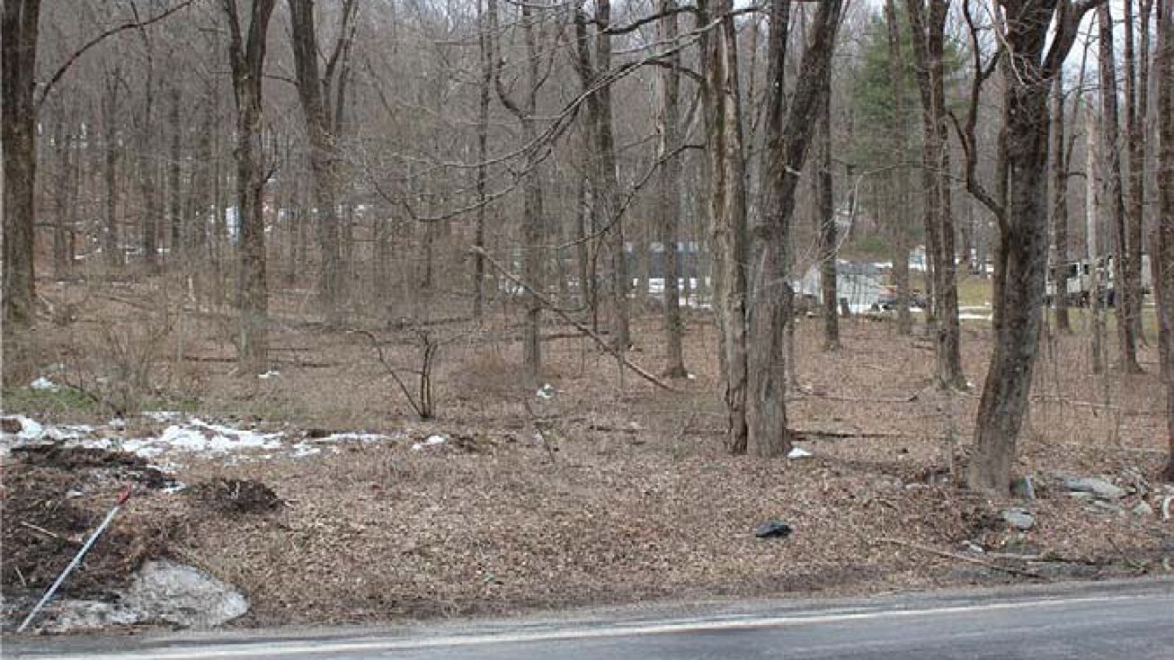 0 Route 343, Millbrook, NY 12594 Land for Sale 0 Route 343