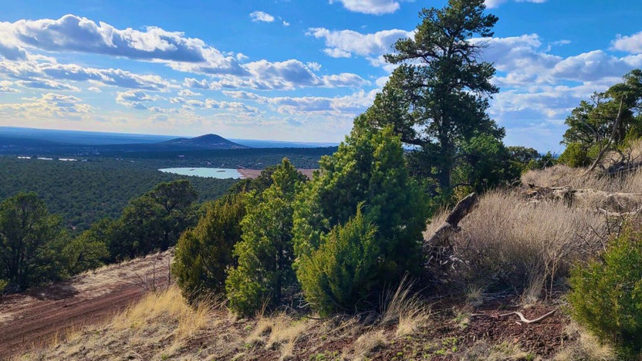 9 N 3316, Vernon, AZ 85940 Land for Sale 9 N 3316