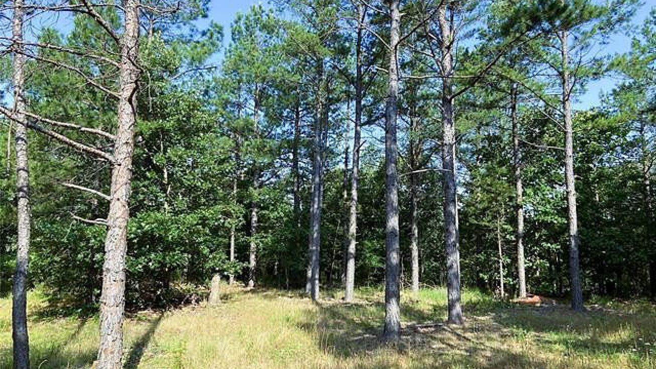 Rattan Trail, Rattan, OK 74562