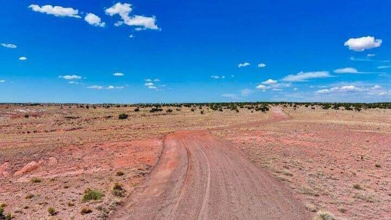 Carrizo Ranches 245, Saint Johns, AZ 85936