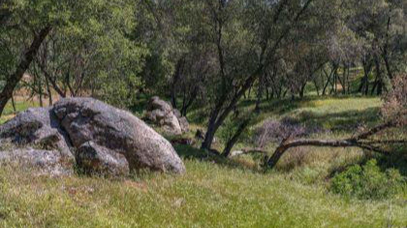 4260 Miwuk Rd, Mariposa, CA 95338 Land for Sale 4260 Miwuk Rd