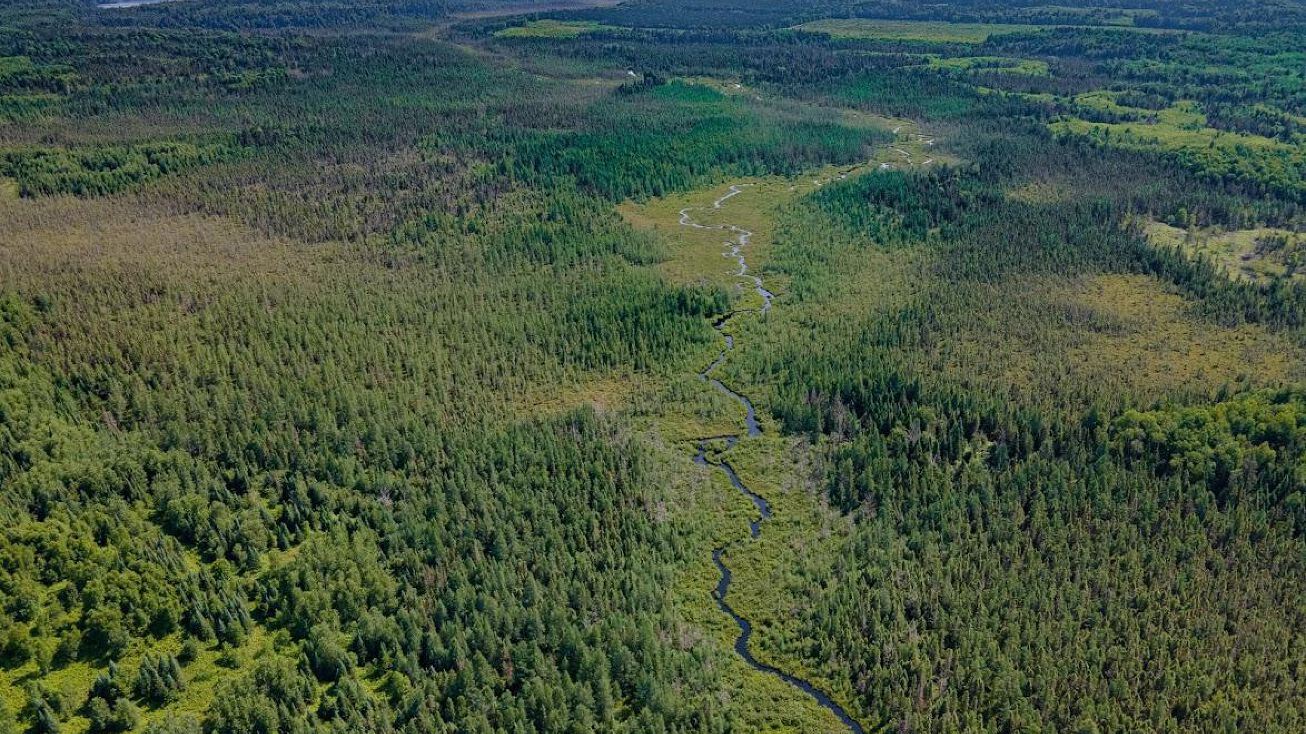 363+/Ac Pine Lake Rd, Minocqua, WI 54548 Land for Sale 363+/Ac