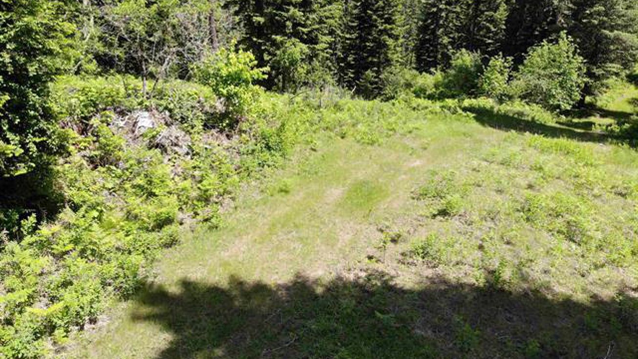 TBD Indian Creek, Orofino, ID 83544 Land for Sale TBD Indian Creek