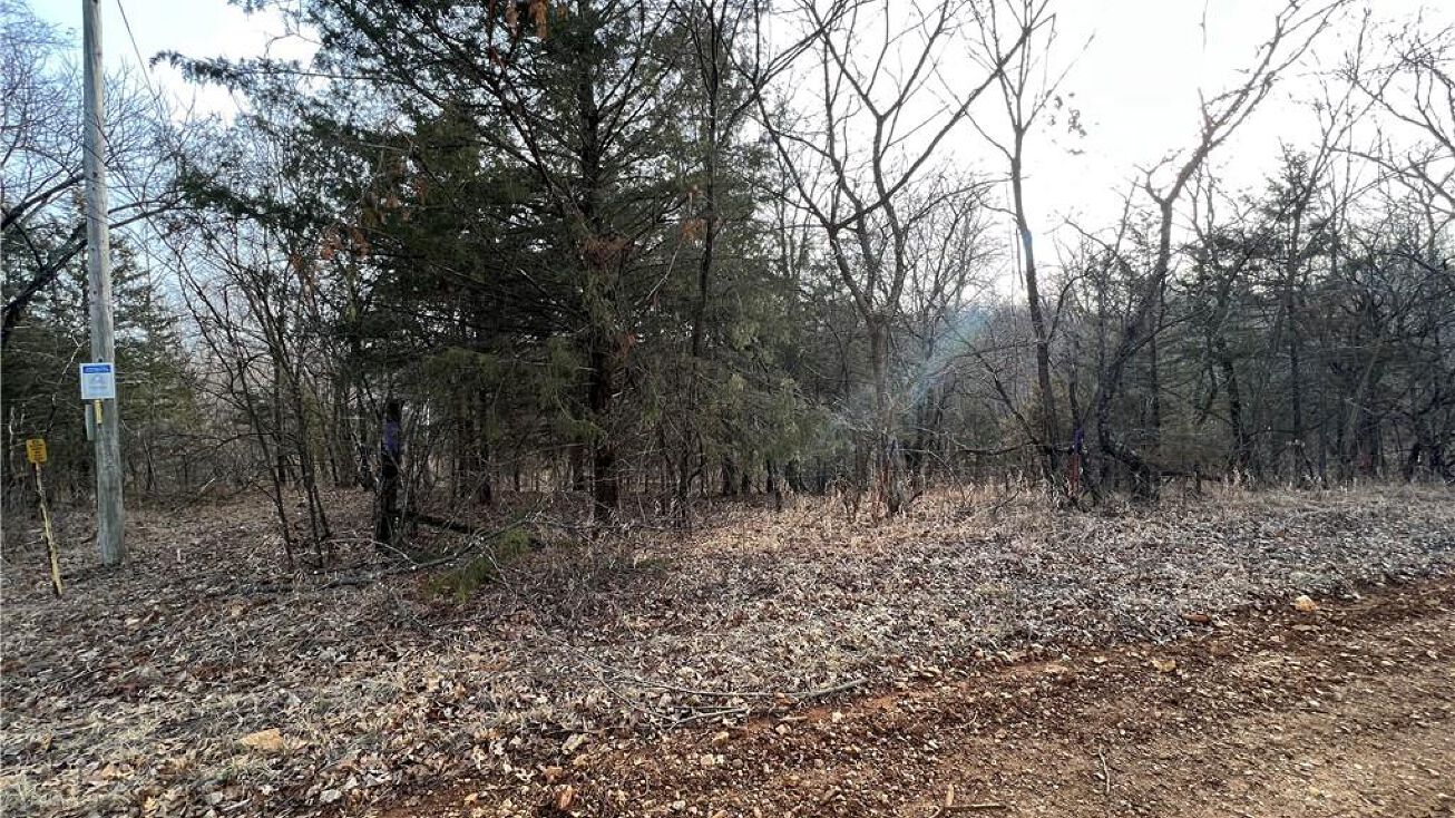 Southwest 50 Road, Osceola, MO 64776 Land for Sale Southwest 50 Road