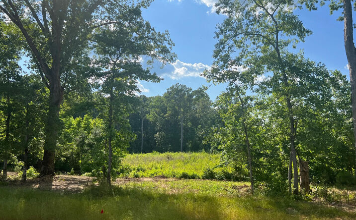 Pictures of Industrial property located at Commerce Dr, Madison, GA 30650 for sales - image #1