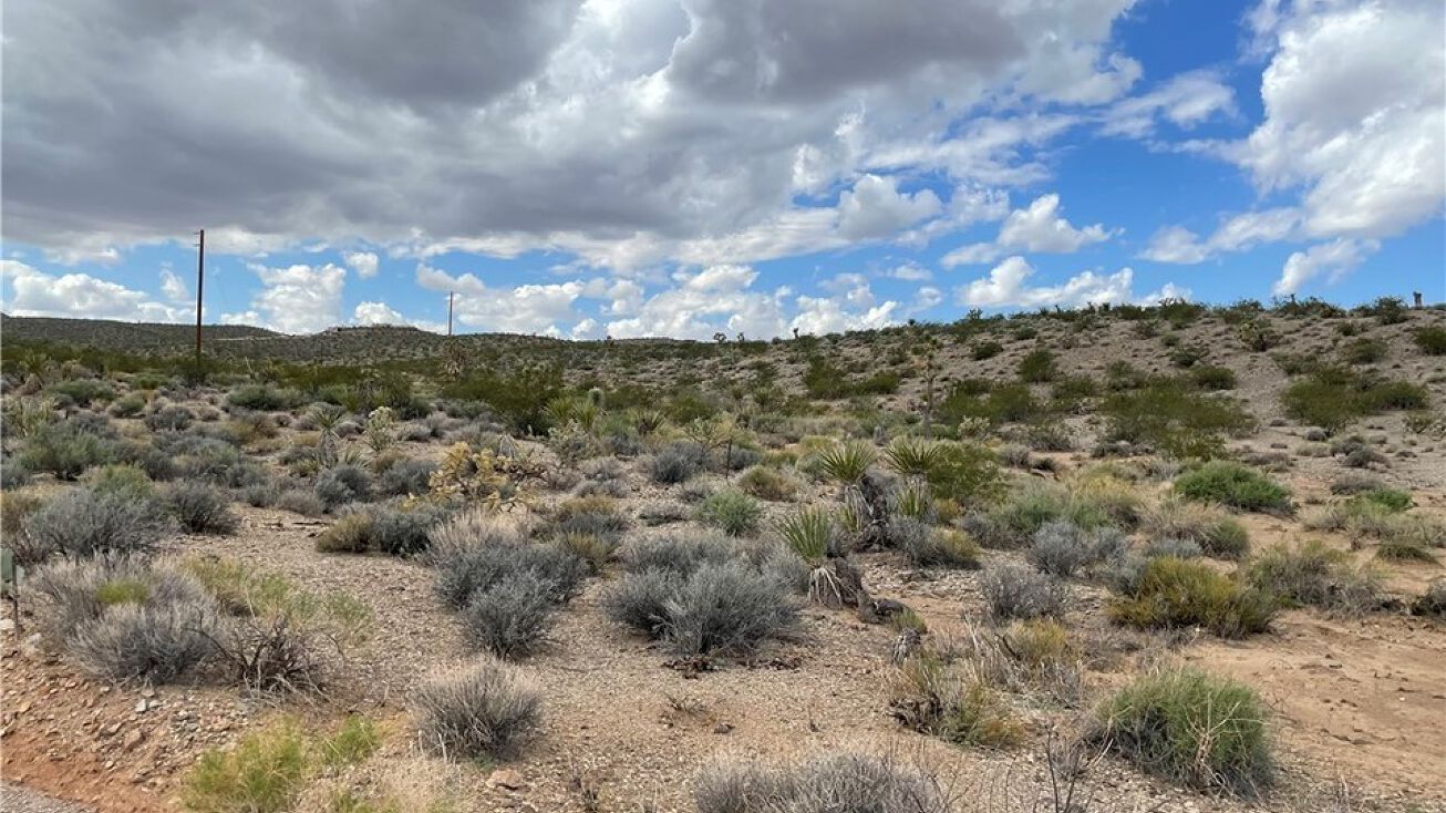 29761 Gregg Dr, Meadview, AZ 86444