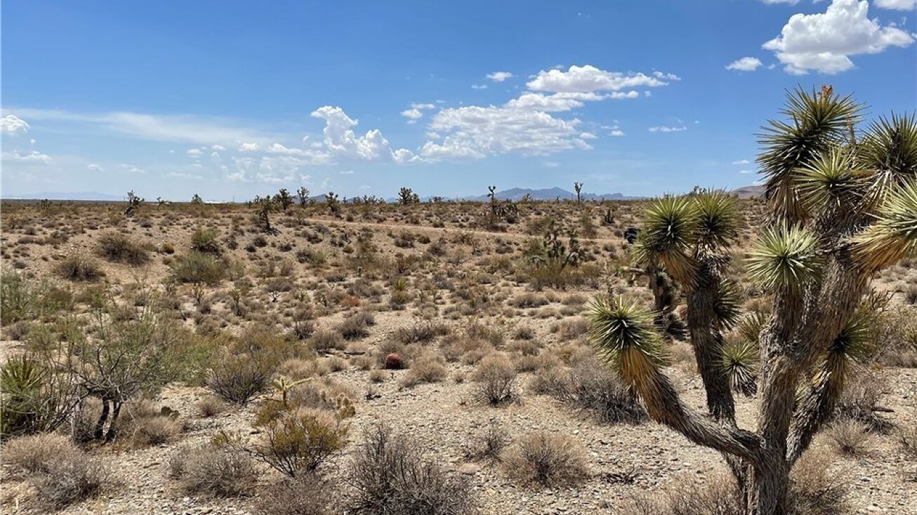 4 W Lots Imperial Drive, Meadview, AZ 86444 Land for Sale 4 W Lots