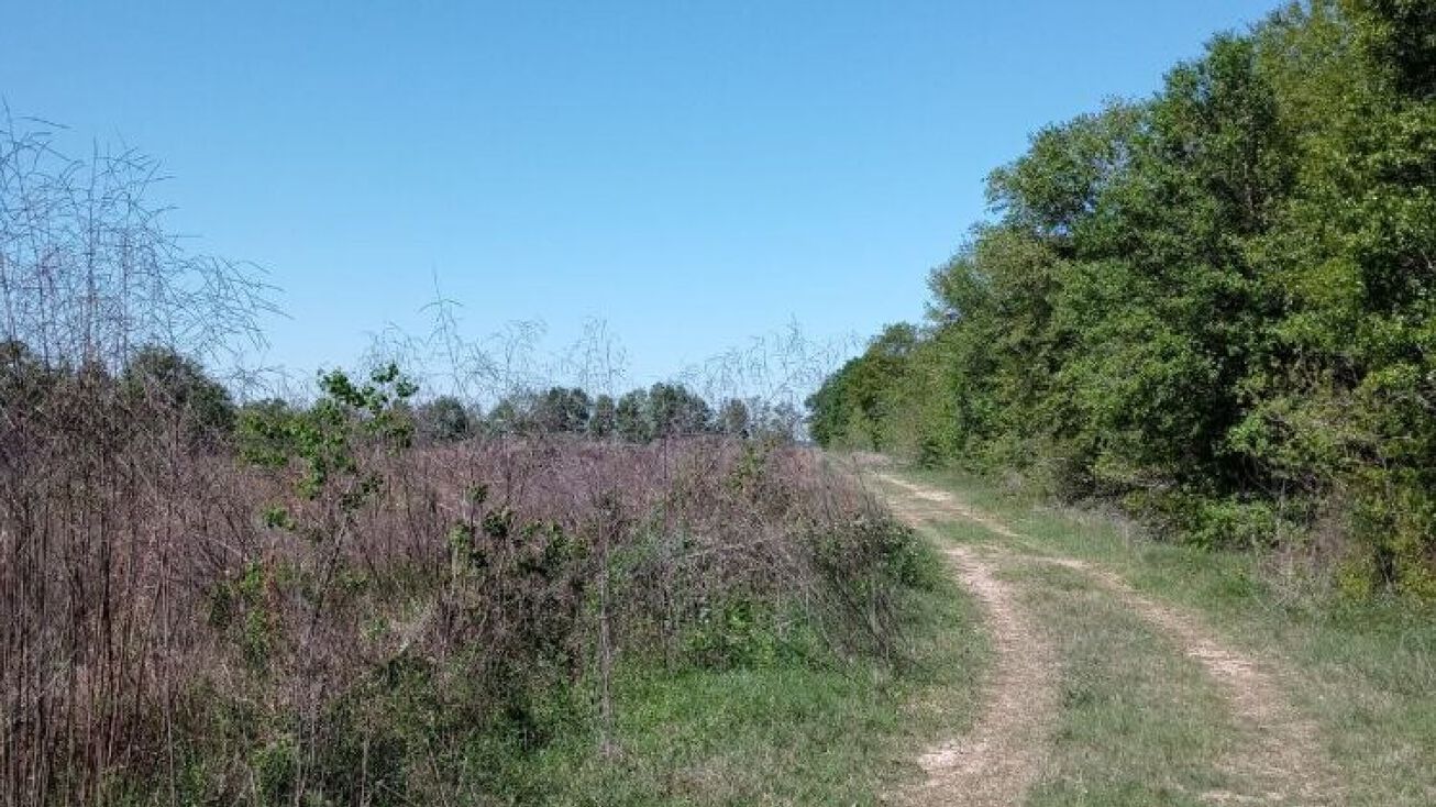 200 BLK Sinegal Rd, Rayne, LA 70578 Land for Sale Farmland Near The