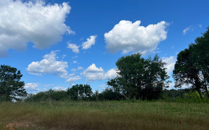 Pictures of Industrial property located at Lot 10 Commerce Dr, Madison, GA 30650 for sales - image #1