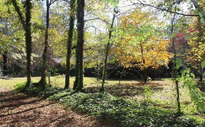 Pictures of Land property located at 181 Waldrip Dr, Cullman, AL 35057 for sales - image #1