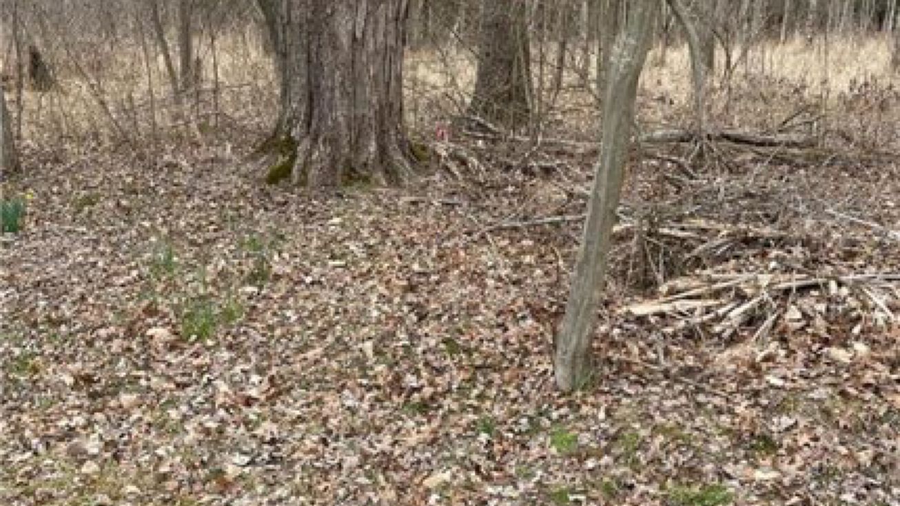 Bushkill Center Rd, Bushkill Twp, PA 18064 Land for Sale Bushkill