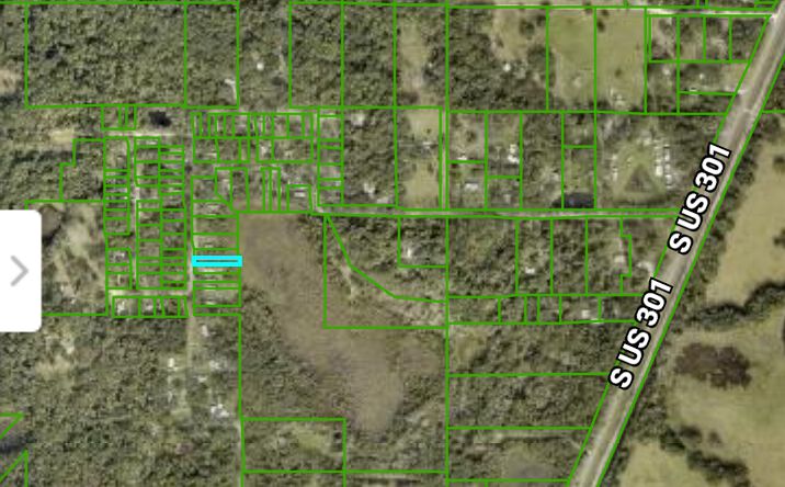Pictures of Land property located at Sumter County Rd 675 W, Webster, FL 33597 for sales - image #1