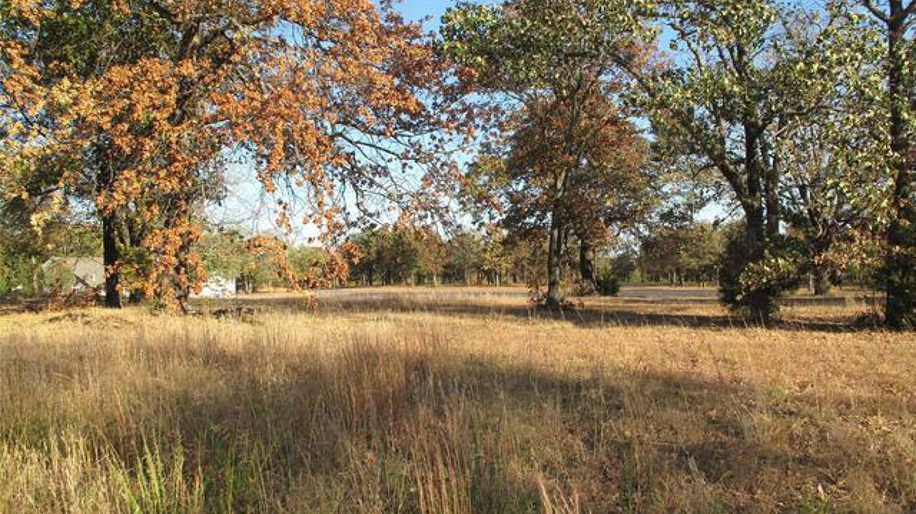 Wilderness Lane, Cookson, OK 74427 Land for Sale Wilderness Lane