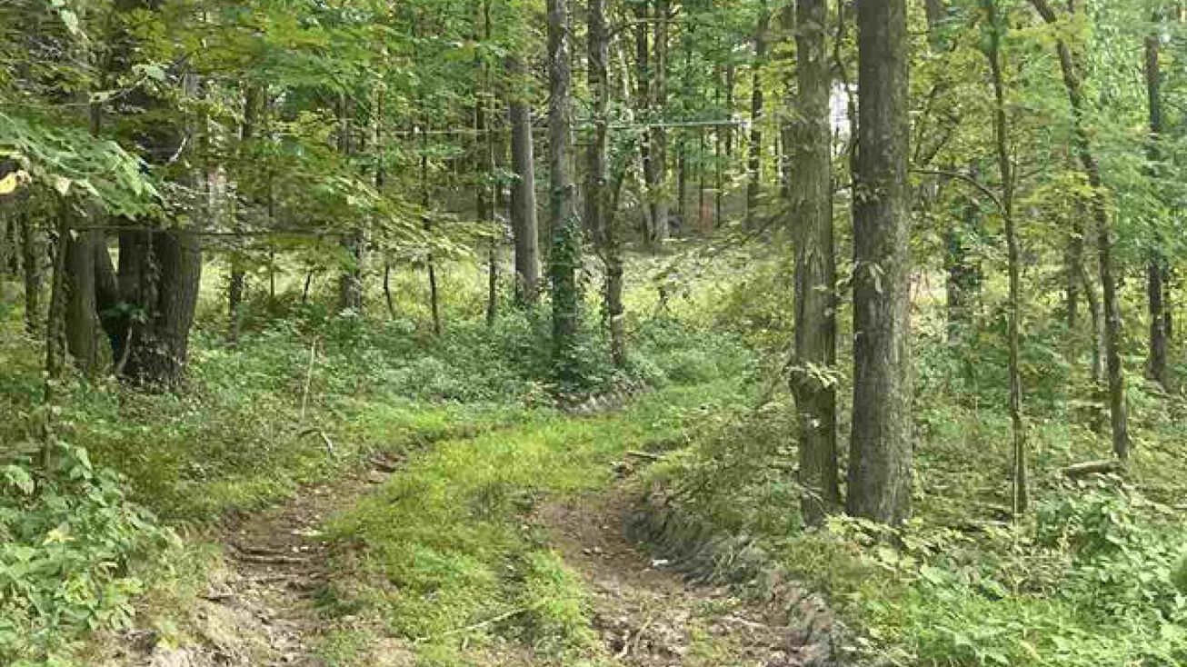 Horsenden Rd, New Paltz, NY 12561