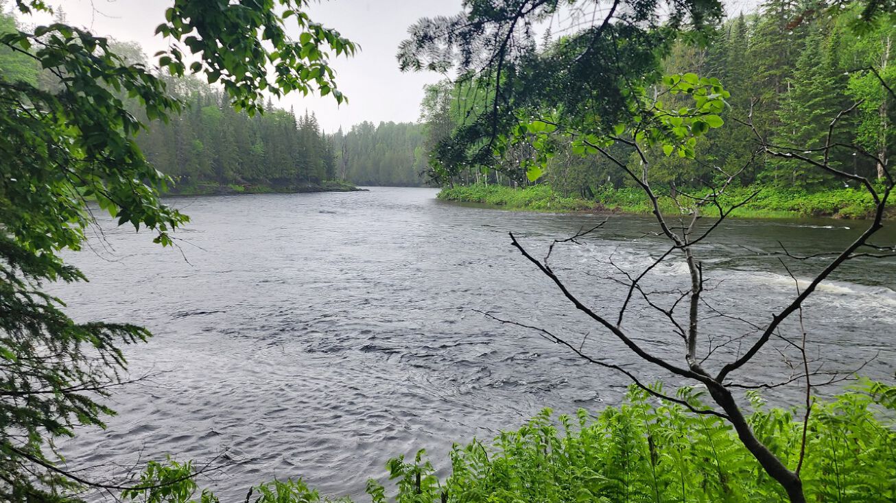 Strip Rd, Wallagrass, ME 04781 Land for Sale 98 surveyed acres