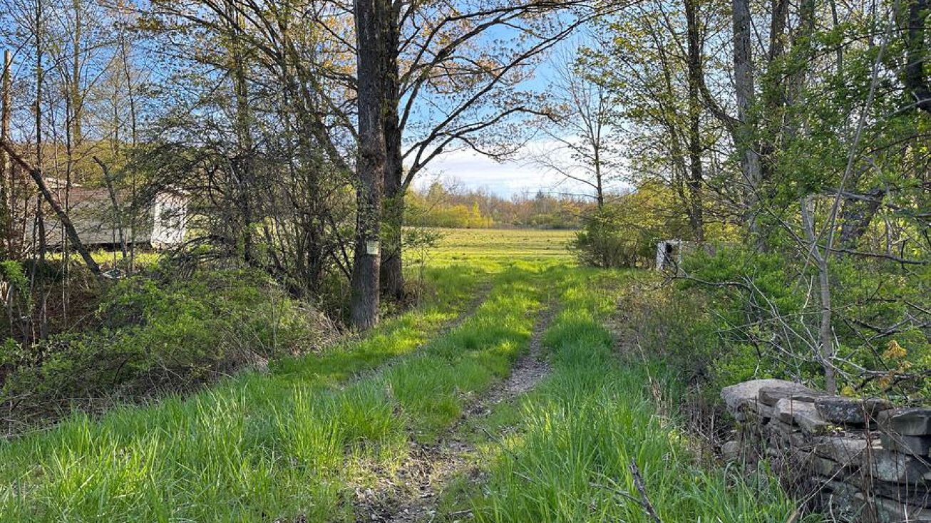 Brennan Road, Lot B, WP001, Addison, NY 14801 Land for Sale Brennan Rd 5 Acres