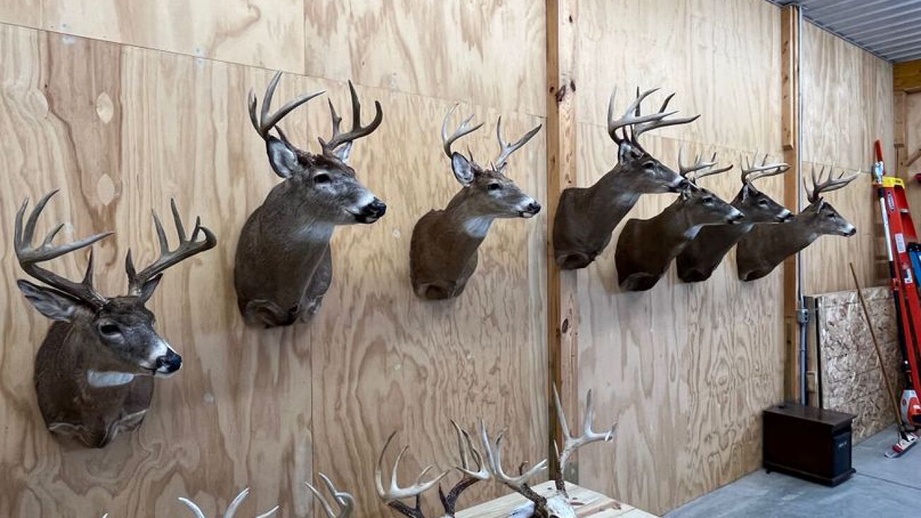 Immaculate Home & Trophy Deer Hunting, Wayland, NY 14572