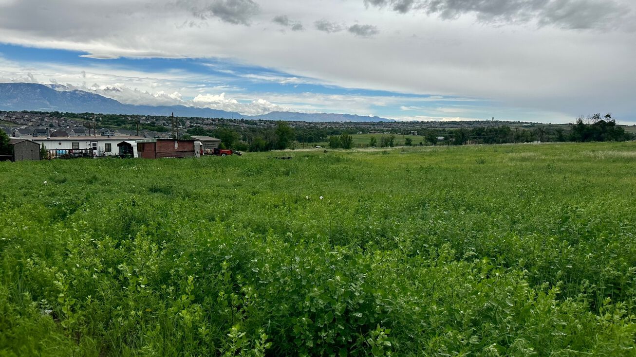 8520 Squirrel Creek Rd, Fountain, CO 80817